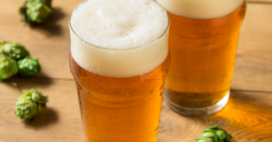 Two glasses of IPA with hops on table - Ss Brewtech