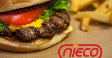 Hamburger with toppings and french fries, Nieco broilers