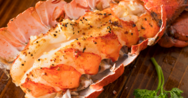 Lobster - commercial steamer